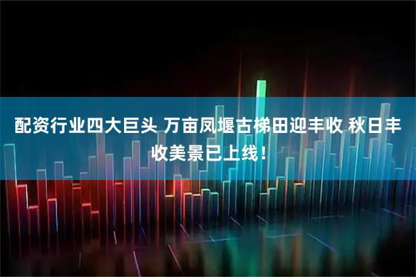 配资行业四大巨头 万亩凤堰古梯田迎丰收 秋日丰收美景已上线！