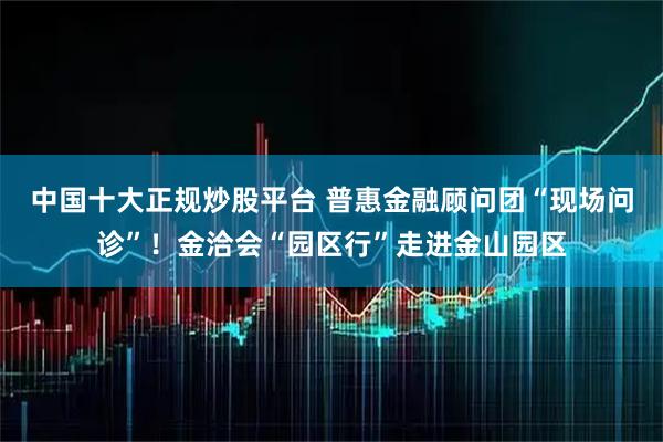 中国十大正规炒股平台 普惠金融顾问团“现场问诊”！金洽会“园区行”走进金山园区