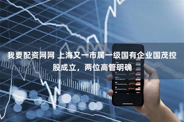 我要配资网网 上海又一市属一级国有企业国茂控股成立，两位高管明确